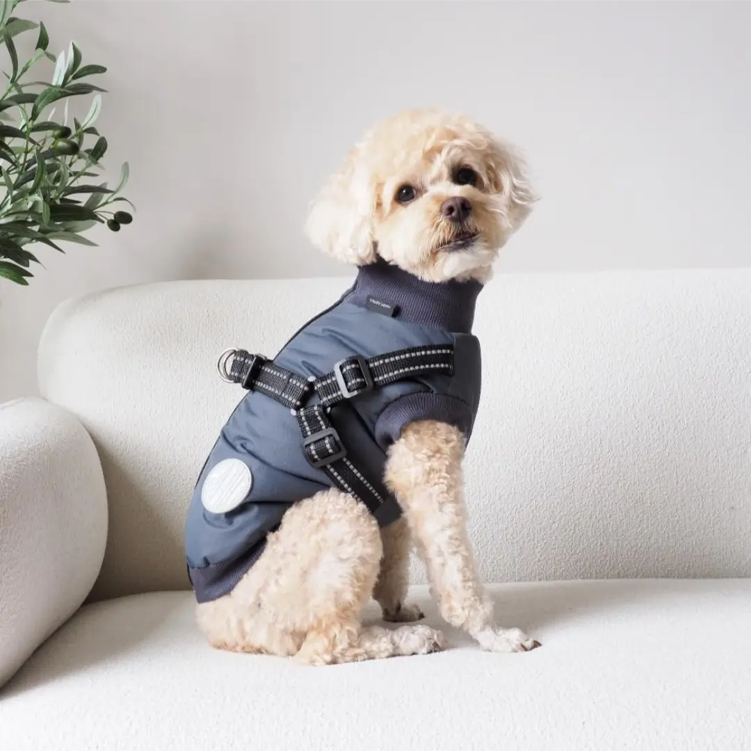 Hundejakke Thor med indbygget sele koksgrå XS